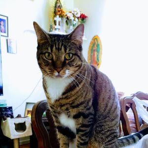 Meet your Posher, Vasquez